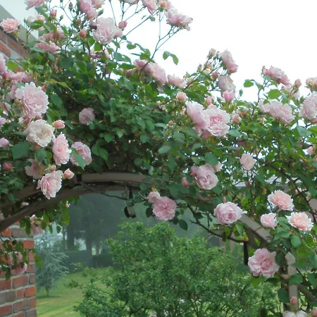 Hotel-garni Herzog Hotel Loher Ostmark