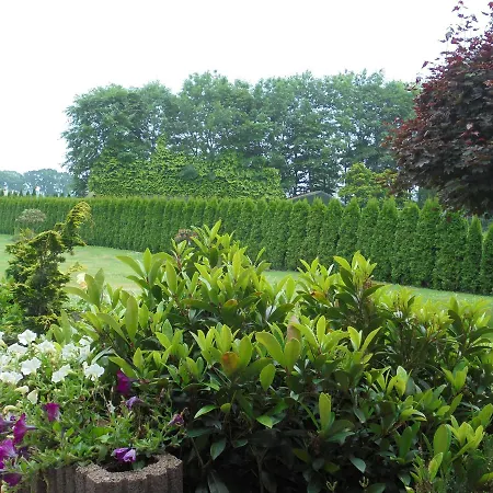 Hotel Hotel-garni Herzog 3*