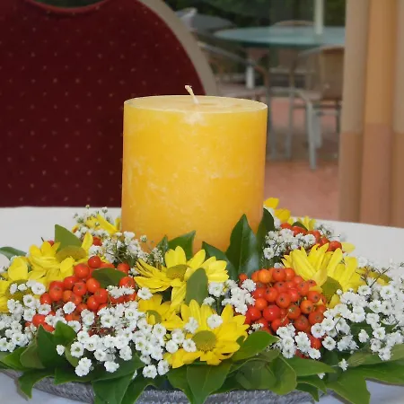 Hotel Hotel-garni Herzog 3*